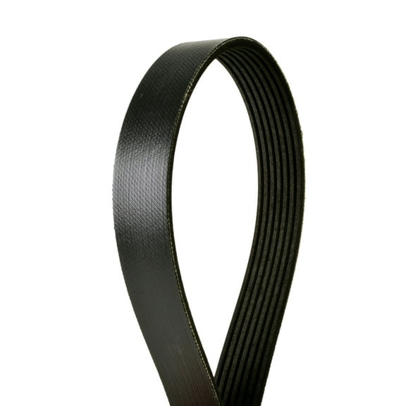 Continental 4070507F Multi-V Reinforced Belt
