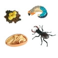 thumbnail image 4 of modelo Animal juguete de material didáctico sólido adornos de juego de juguetes educativos para aulas de fiesta preescolar niñas Estilo B, 4 of 8