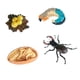 thumbnail image 4 of Modelo de Animales de Insectos Hugo Juguetes Adornos de Insectos Juego de Juguetes Educativos Estilo B, 4 of 10