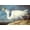 Unframed, variant on Great White Heron Art Print by John James Audubon, 18" x 12"