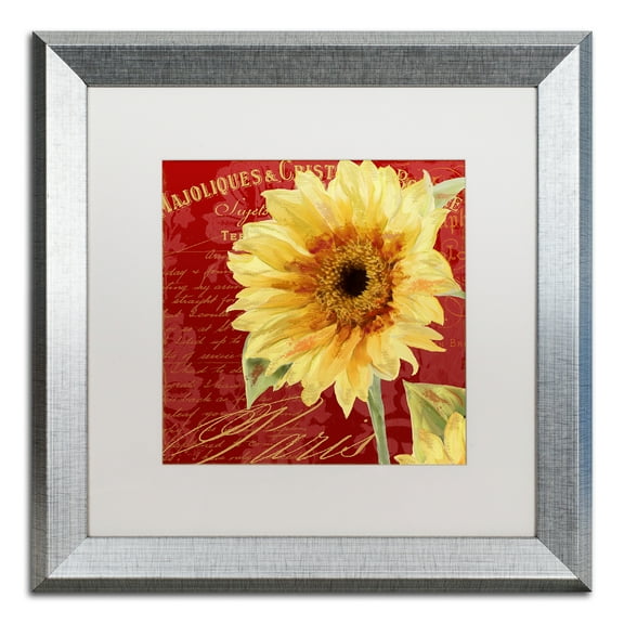 Trademark Fine Art 'Ete III' Silver Framed Art by Color Bakery