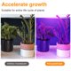 thumbnail image 4 of Luz De Relleno De Plantas Blub Disipación De Calor Luz De Relleno De Plantas En Maceta Luz De Crecimiento De Plantas De Ahorro De Energía Con Tornillo E27 300 Cuentas Para Patio De Jardín Kearding HA027311-02, 4 of 6