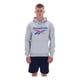 thumbnail image 1 of Sudadera Reebok Hombre Trent 2 Logo Hoody Gris Deportivo gris S, 1 of 5