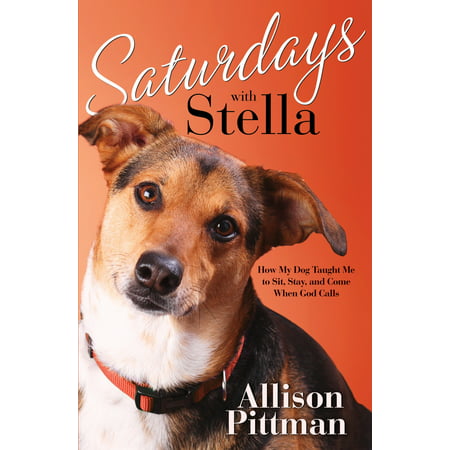 Saturdays with Stella : How My Dog Taught Me to Sit, Stay, and Come When God