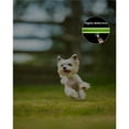 thumbnail image 5 of The Zfit Reflective Nylon Dog Collars, Adjustable Classic Pet Collar with Quick Release Buckle for Puppy/Extra Small/Small/Medium/Large/Extra Large Dogs，3/8"—1¼" Width, 5 of 6
