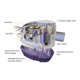 thumbnail image 2 of DC 12V 24V bomba de sentina de bote pequeño 1100GPH bomba de agua de sentina para Ferry Yacht Marine, 2 of 6