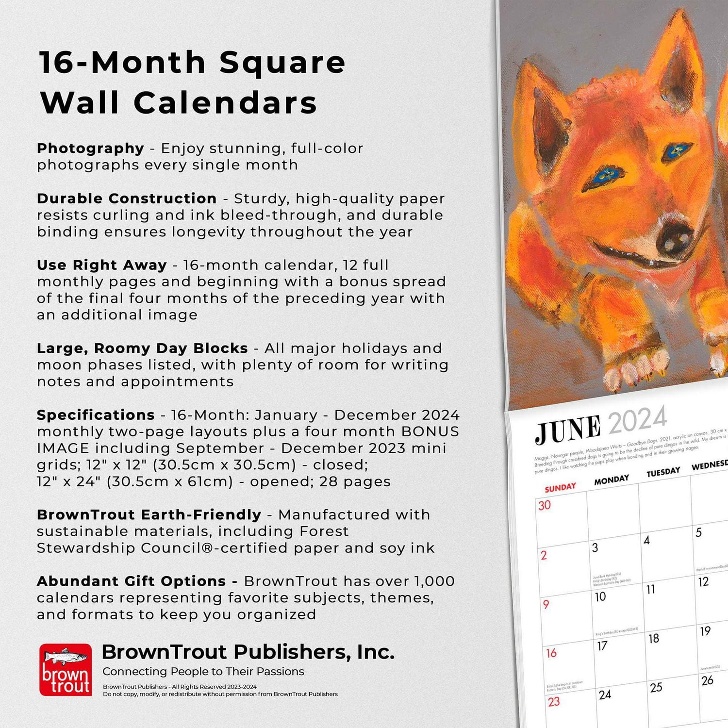 BrownTrout Art aborigène 2024 Mur Carré 30.48x60.96 CM, 9347301103537