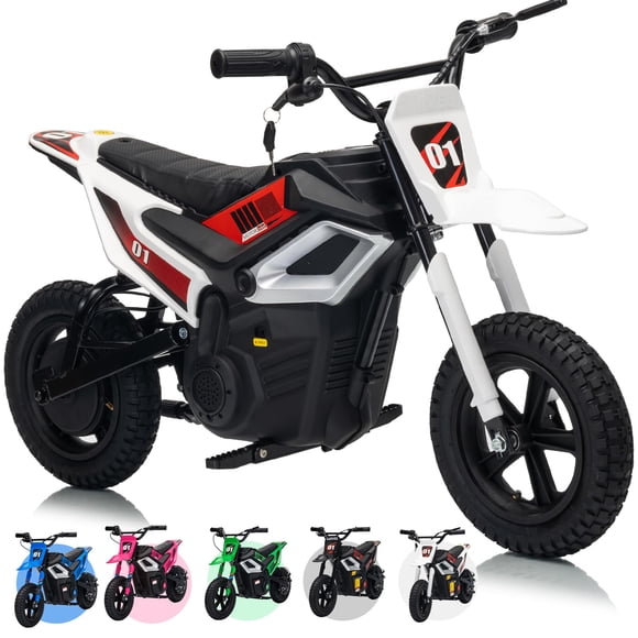 CazToi 24V Kids Dirt Bike 350W Motor 14 MPH 12 Mile Range Rear Suspension