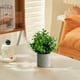 thumbnail image 4 of Hogar y cocina, Decoración del hogar, Otra decoración, Ramo de flores de simulación, Arreglo floral para mesa de sala de estar, Decoración floral, Jarrón en maceta, Plantas de simulación de plástico e, 4 of 6