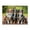 500 Pieces, variant on Three Dogs Looking Up 500-Piece Wooden Jigsaw Puzzle for Adults, Fun & Challenging Family Brain-Teaser, Perfect Home Decor & Gift