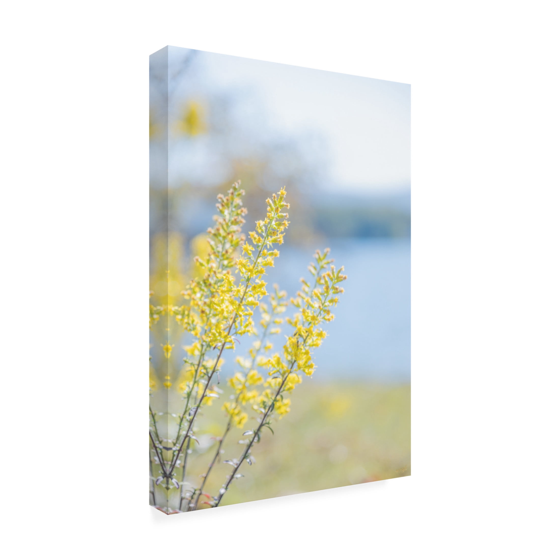 Canvas Wall Art - Life BeautifuLEE 'Tiny Yellow Boquets 1' Wall Art for Living Room, Bedroom, or Office Décor by Trademark Fine Art - 30 x 47 Inches