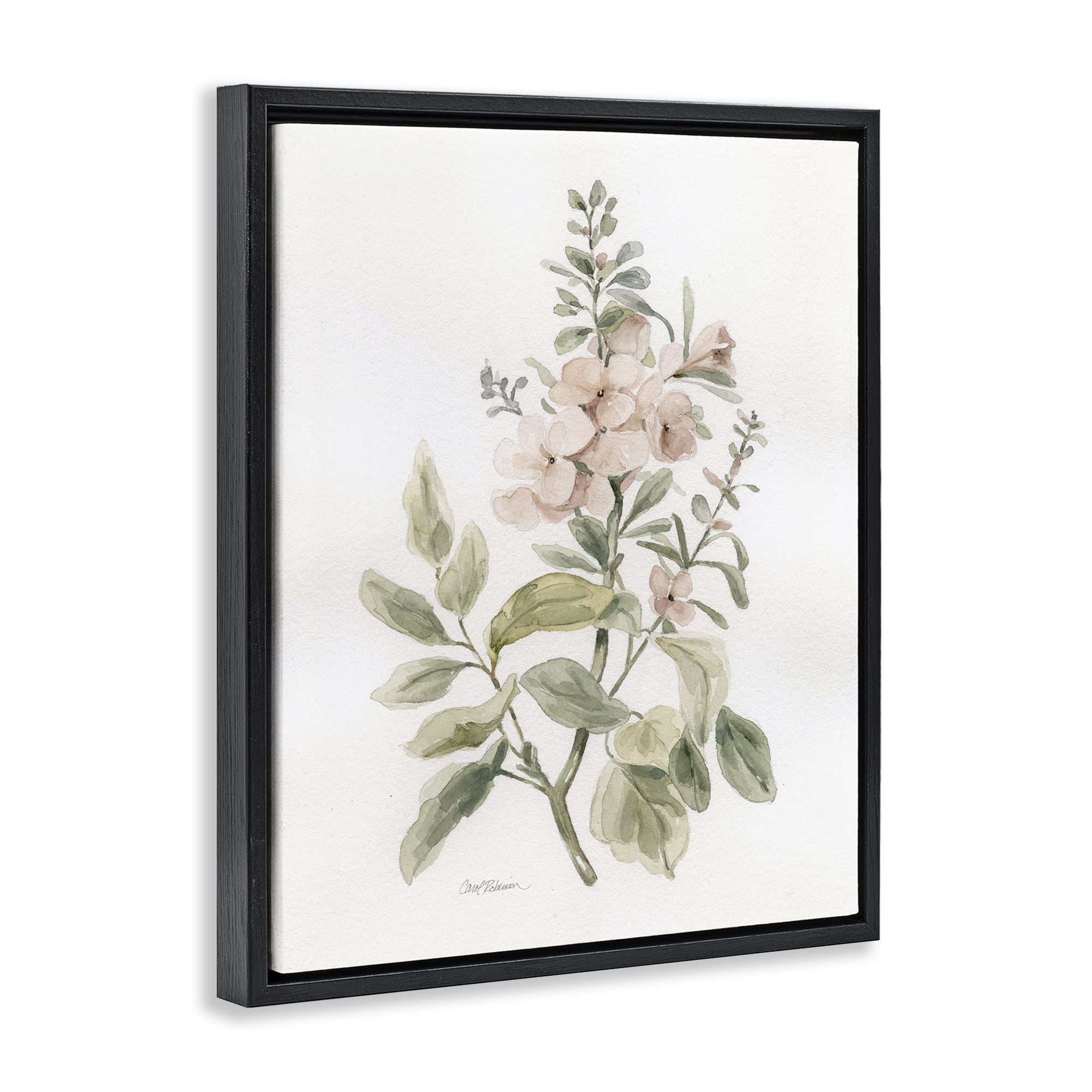 Stupell Industries Dainty Blooming Botanical Plants & Flowers Painting Black Floater Framed Canvas Art Print Wall Art, 17 x 21