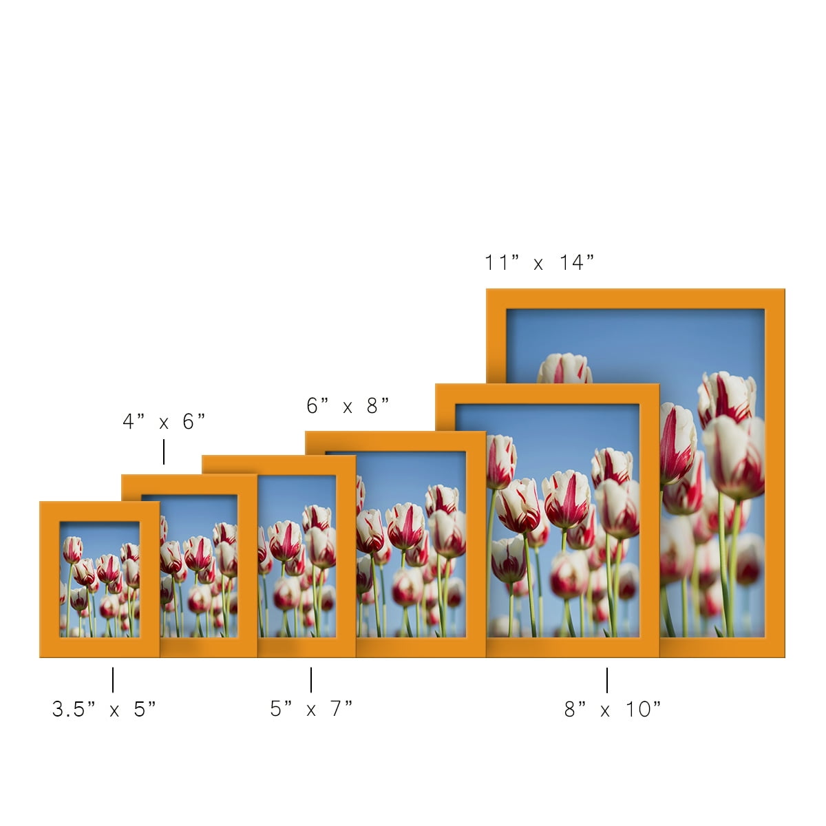 Modern 4 in. x 6 in. Orange Picture Frame (Set of 4)