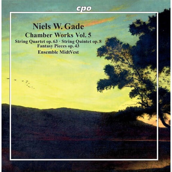 Ensemble Midtvest - Chamber Works 5 - Music & Performance - CD