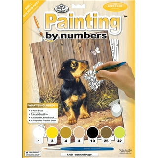 Junior Small Paint By Number Kit 8.75X11.75-Majestic Macaws 