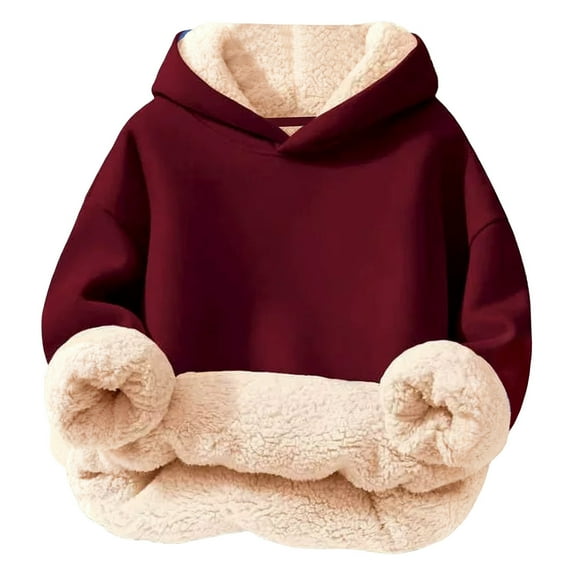 WOYY Toddler Boys Cozy Warm Lined Hoodie Solid Color Hooded Sweatshirt, Sizes 3-4T