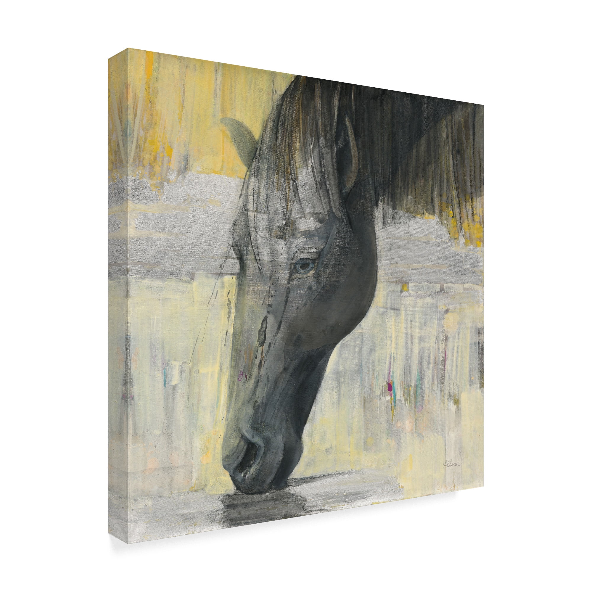 Trademark Fine Art 'Caleb Grey and Yellow' Canvas Art by Albena Hristova
