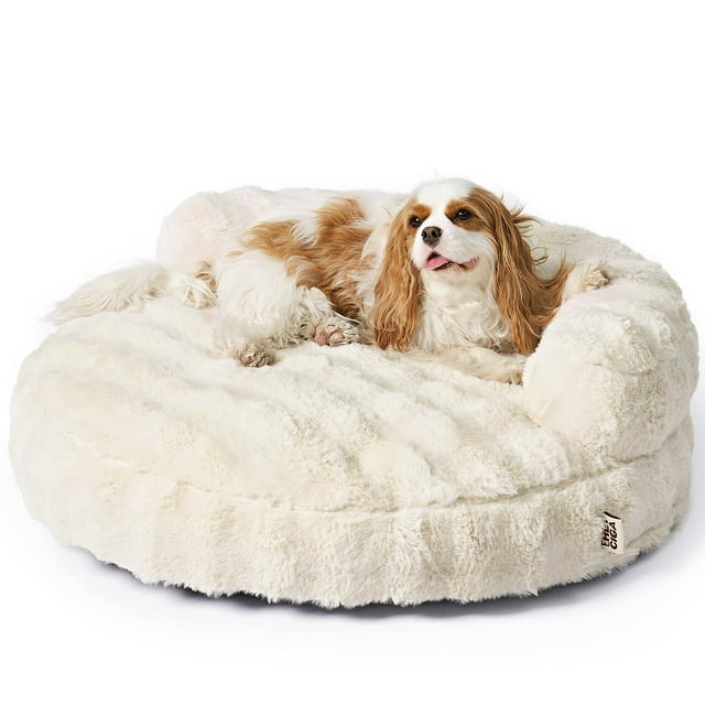 Sofá para mascotas EHEYCIGA, cama mediana para perros y sofá grande para gatos