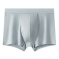 thumbnail image 2 of zeranth Men Underpants U Convex Breathable Mesh Holes Elastic Wide Waist Band Inside Wear Seamless Ice Silk Men Boxers Briefs Quick Dry Men Underwear, 2 of 7