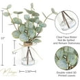 thumbnail image 3 of Muhanjia Artificial Eucalyptus Stems in Glass Vase with Faux Water,3Pcs Fake Plant with Double-Sided Green Leaves for Centerpiece(Double-Sided Green Eucalyptus), 3 of 9