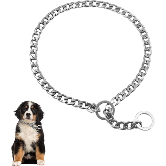 Chain Dog Training Choke Collar, Adjustable Stainless Steel Chain Slip Collar, Strong, Durable, Weather Proof, Tarnish Resistant Metal Chain, Best for Small Medium Large Dogs