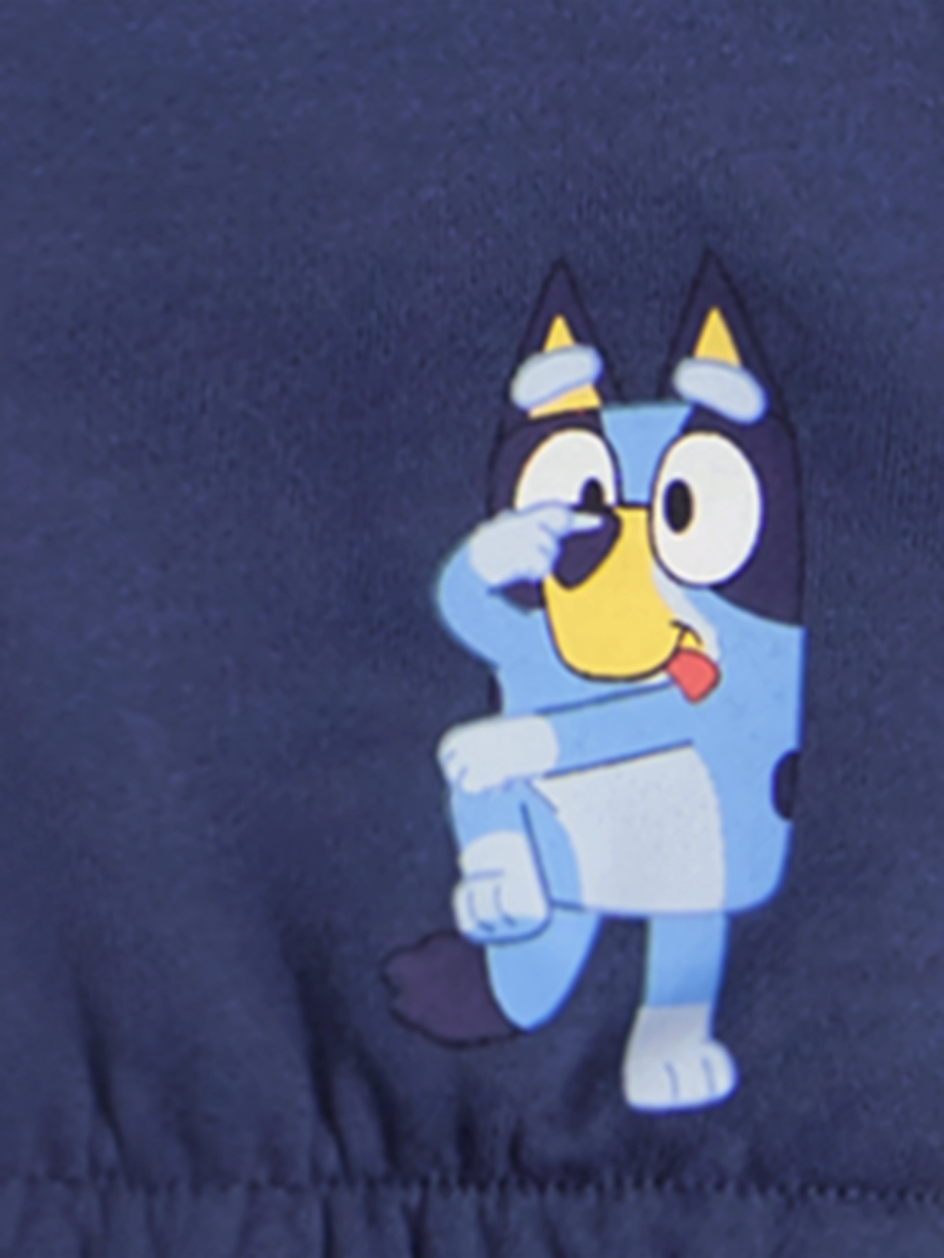 Bluey Baby Boy 3 Piece Fleece Jogger Set, Sizes 0-24 Months