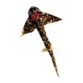 thumbnail image 4 of Cometa voladora con forma de tiburón, juguete colorido con cola larga, cometa de una línea, tamaño grande, para niños, adultos, viajes, patio y, 4 of 9