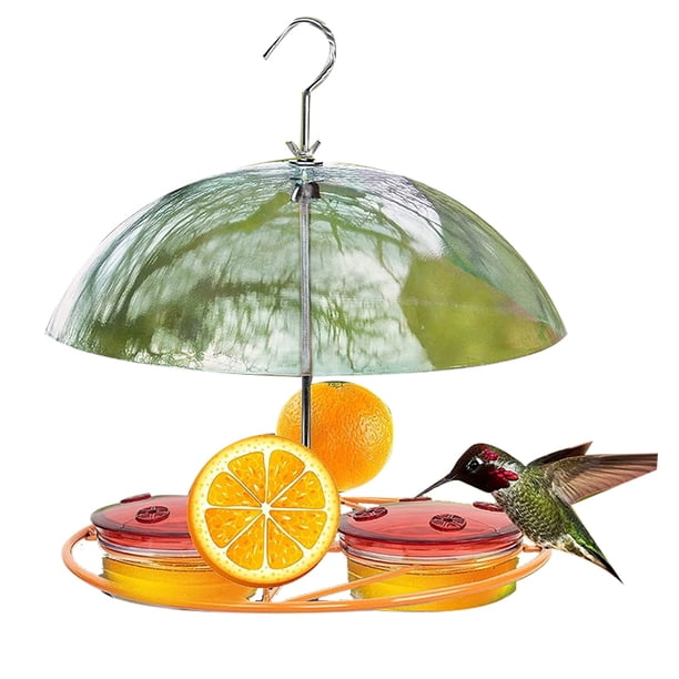Alimentador de pájaros silvestres con plataforma ajustable para frutas, semillas o gusanos de la harina, comedero de cúpula superior para semillas y pájaros azules