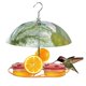 thumbnail image 1 of Alimentador de pájaros silvestres con plataforma ajustable para frutas, semillas o gusanos de la harina, comedero de cúpula superior para semillas y pájaros azules, 1 of 4