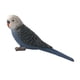 thumbnail image 5 of Figura de juguete de simulación de ciencia y naturaleza, modelo de pájaro animal para decoración del hogar Loro 2, 5 of 7