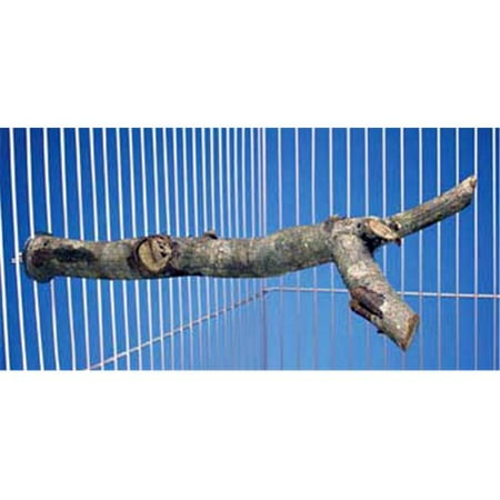 Penn Plax Products BA767 Natural Branch Y Perch - Large