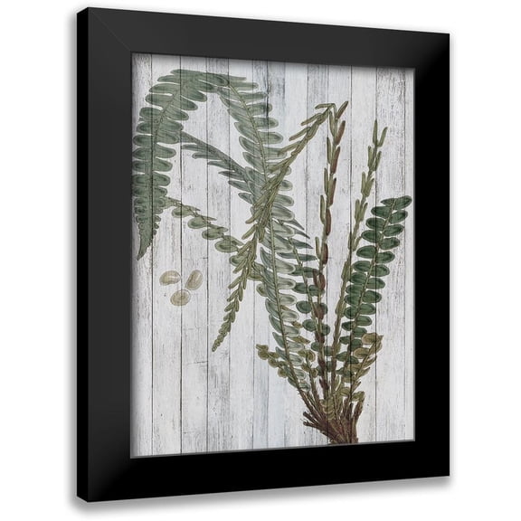 Studio W 12x14 Black Modern Framed Museum Art Print Titled - Rustic Greenery IV