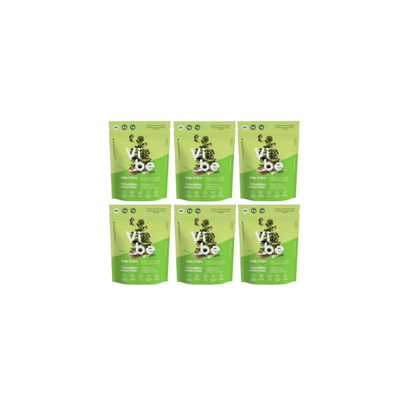 Vibe Kale Chips - Air Dried Gluten-Free Nut-Free Vegan Healthy Snacks - Sour Cream and Green Onions, 75g Each - Pack of 6