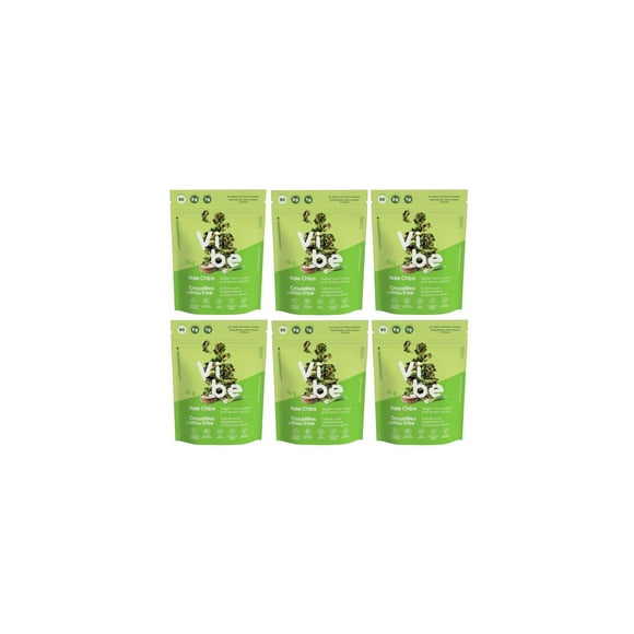 Vibe Kale chips Vegan Sour Cream and Green Onions