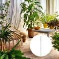 thumbnail image 5 of Uxcell Plant Support Stakes Set, 8 Pcs Twig Plant Stem Support Structures 43.3" Plants Branches Supports with Extension Poles, Orchid Clips, Plants Tie for House Potted Monstera, Brown, 5 of 6