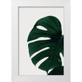 thumbnail image 1 of Artographie Studio 11x14 White Modern Wood Framed Museum Art Print Titled - Monstera Natural 30, 1 of 4