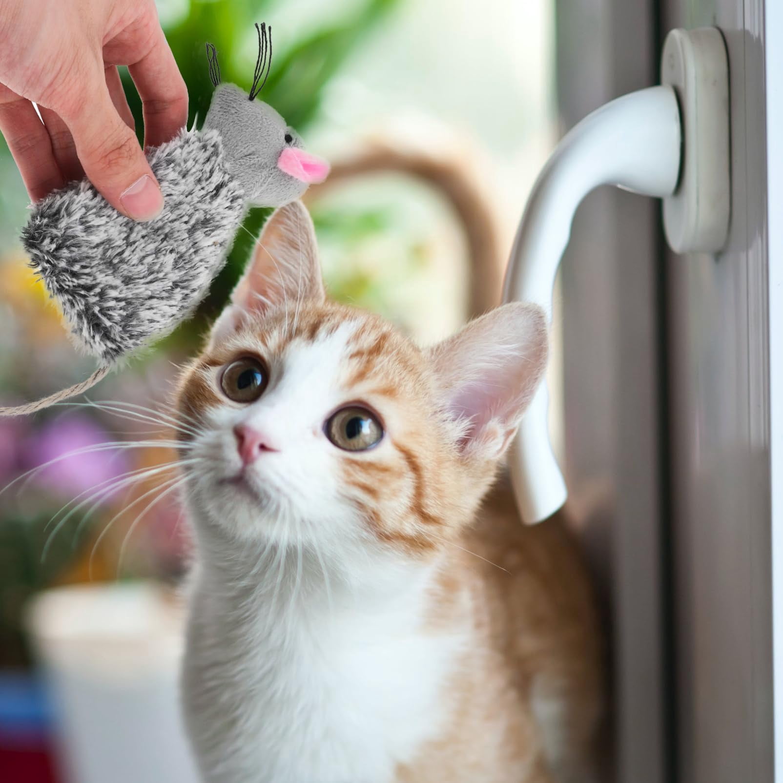 mirlewaiy 3pcs Refillable Catnip Toys for Cats, Refillable Catnip Cat Toy Teething for Puppie Kittens, Cartoon Doll for Kittens Teething and Playtime Fun