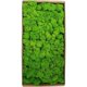 thumbnail image 1 of vert#a Dcoration Murale En Mousse Prserve Vritable Mousse Prserve Aucun Entretien Requis Mousse Naturelle Prserve Pour La Maison, Les Ftes Murales, 1 of 5