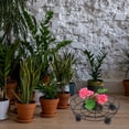 thumbnail image 5 of LABSERRON 1Pcs Round Iron Flowerpot Stand with Movable Wheels for Indoor Plant Placement 13.4x13.4in, 5 of 8