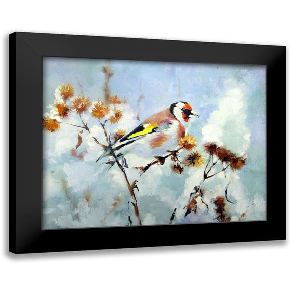 Pautov, Igor 24x20 Black Modern Framed Museum Art Print Titled - Colorful Bird