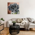 thumbnail image 2 of Stupell Industries Black Shih Tzu Dog Portrait Animals & Insects Painting Gallery Wrapped Canvas Print Wall Art, 2 of 5