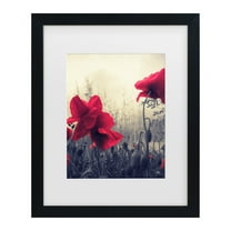 Trademark Fine Art 'Limitless' Canvas Art by Philippe Sainte-Laudy