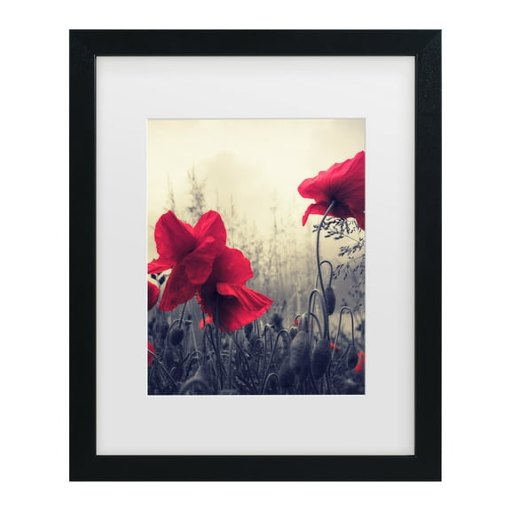 Trademark Fine Art 'Limitless' Canvas Art by Philippe Sainte-Laudy