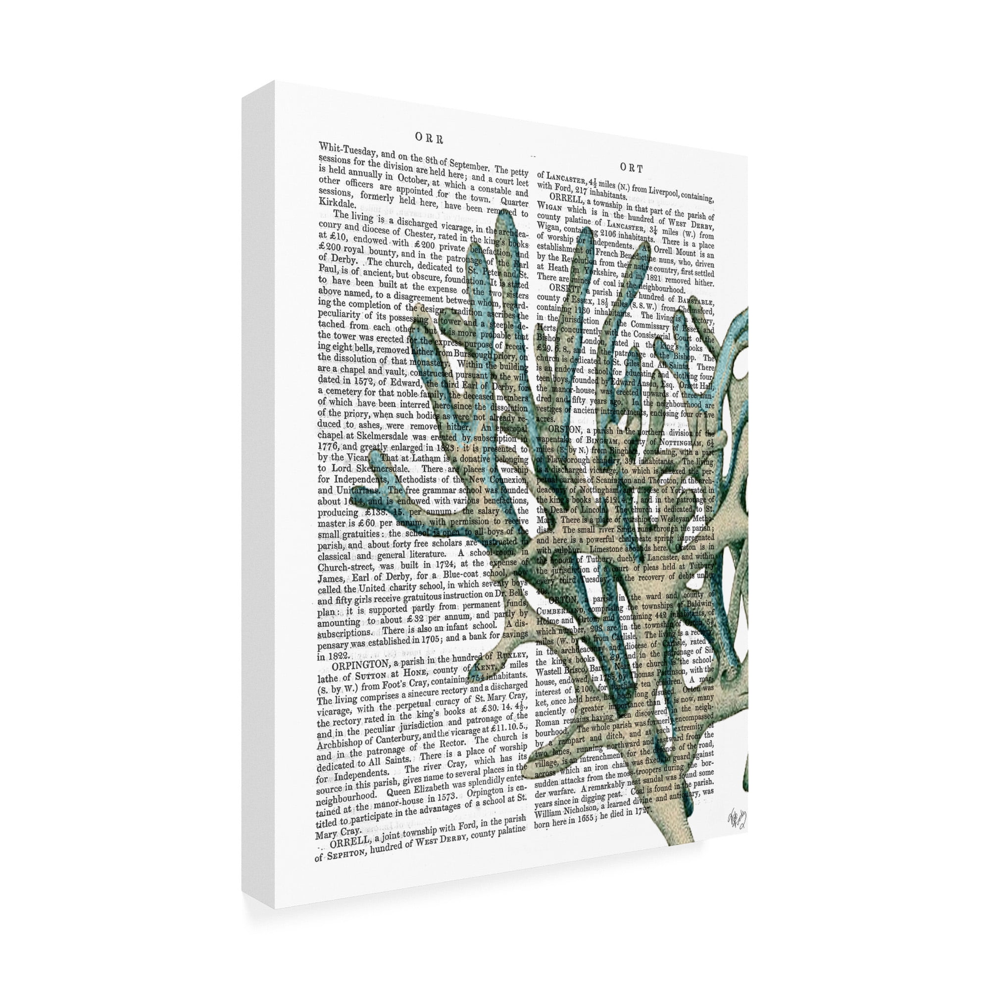 Trademark Fine Art 'Blue Corals And Sea Urchins Iii' Canvas Art by Fab Funky