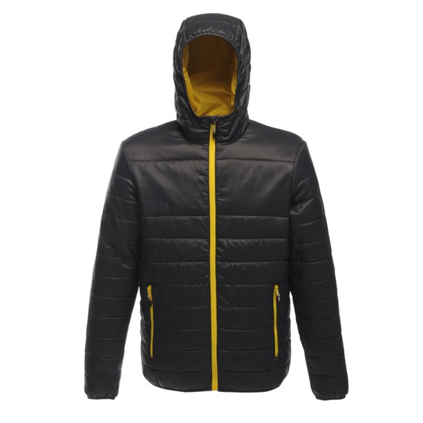 Regatta - Chaqueta acolchada modelo Acadia para mujer (Gris) Regatta UTRG2167_P