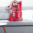 thumbnail image 3 of Bleacher Creatures Ohio State Buckeyes Brutus 24" Mascot Sideline Pal, 3 of 4