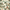 Green Mountain Pattern, variant on Yayeee Kitchen Curtains Set of 2 Light Filtering 57"x24" Over Sink Window Panels, Blue Floral Pattern