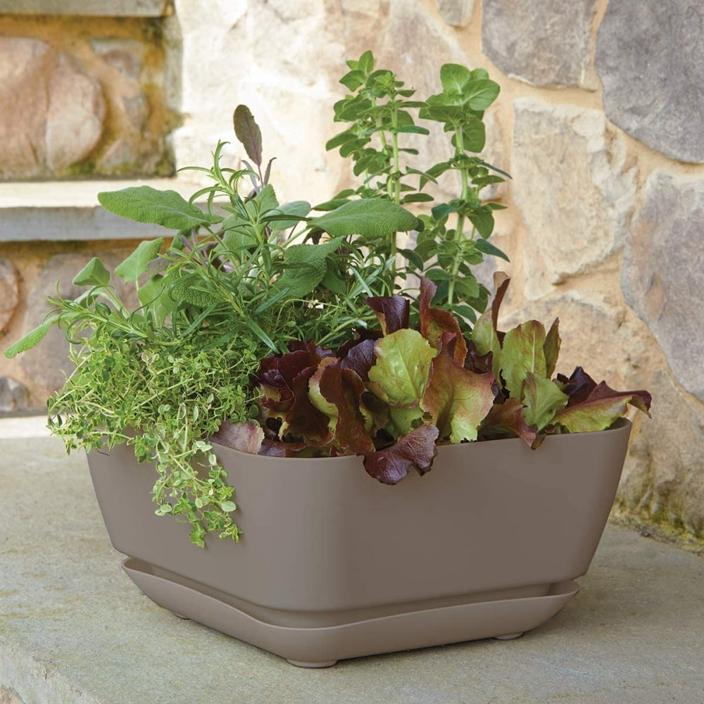 Root & Vessel Majestic Garden Planter, Taupe