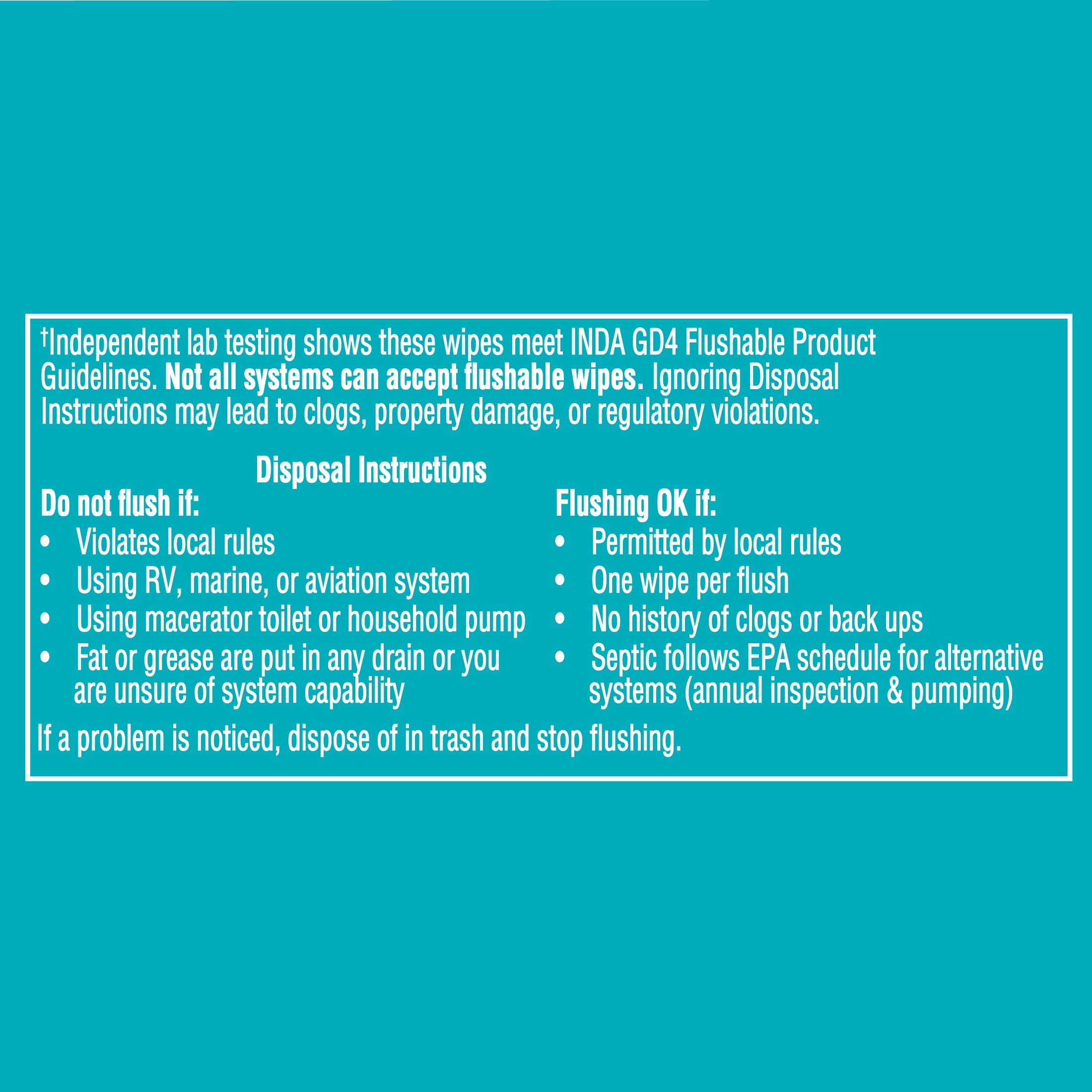 (4 pack) Assurance Large Flushable Wet Wipes, Fragrance Free, 48 Count, 2 Pack