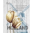 thumbnail image 3 of Soave, Alicia 20x24 Black Modern Framed Museum Art Print Titled - Holland Tulips, 3 of 5